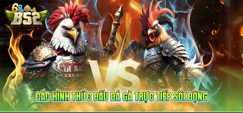 Các hình thức đấu đá gà trực tiếp sôi động