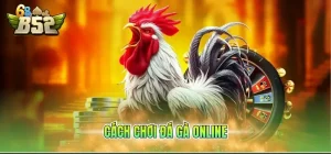 Cách chơi đá gà online