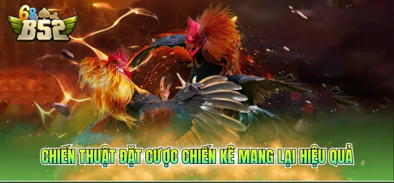 Chiến thuật đặt cược chiến kê mang lại hiệu quả