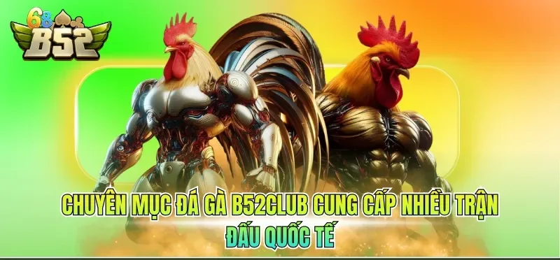 Chuyên mục đá gà B52CLU cung cấp nhiều trận đấu quốc tế