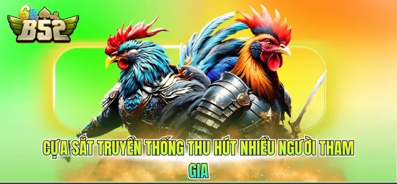 Cựa sắt truyền thống thu hút nhiều người tham gia