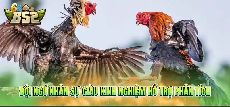 Đội ngũ nhân sự giàu kinh nghiệm hỗ trợ phân tích