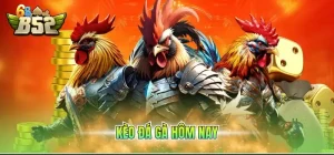 Kèo đá gà hôm nay