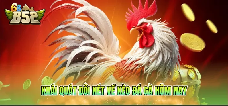 Khái quát đôi nét về kèo đá gà hôm nay