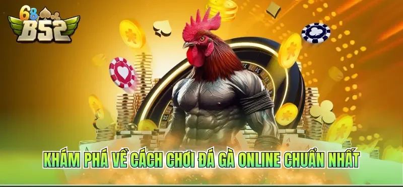 Khám phá về cách chơi đá gà online chuẩn nhất