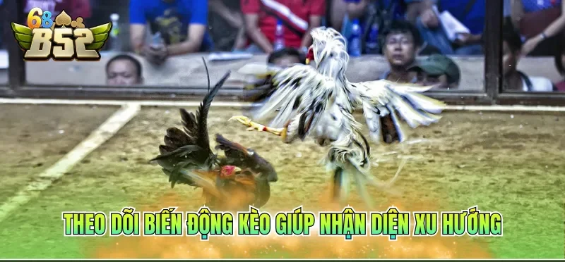 Theo dõi biến động kèo giúp nhận diện xu hướng